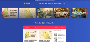 1750365228917.webp